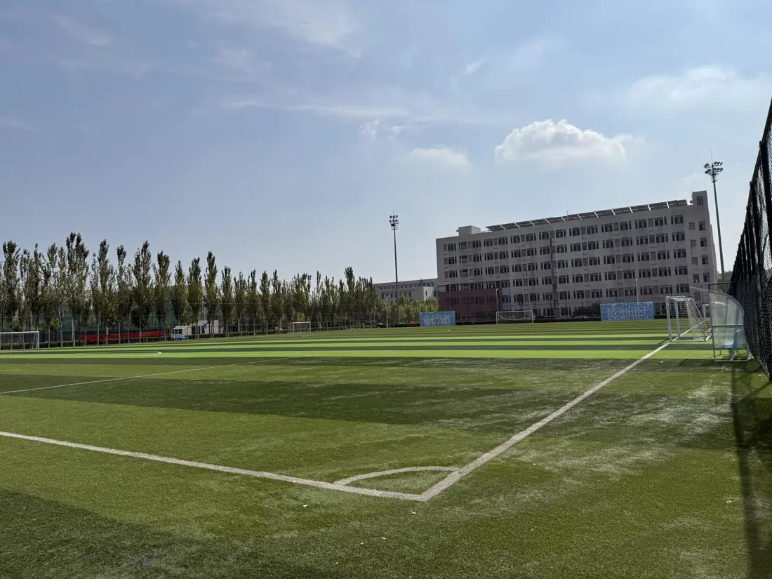 Soccer field