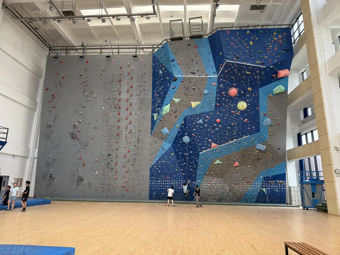 Muro de escalada