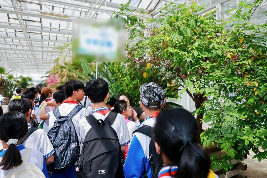 Study tour activity
