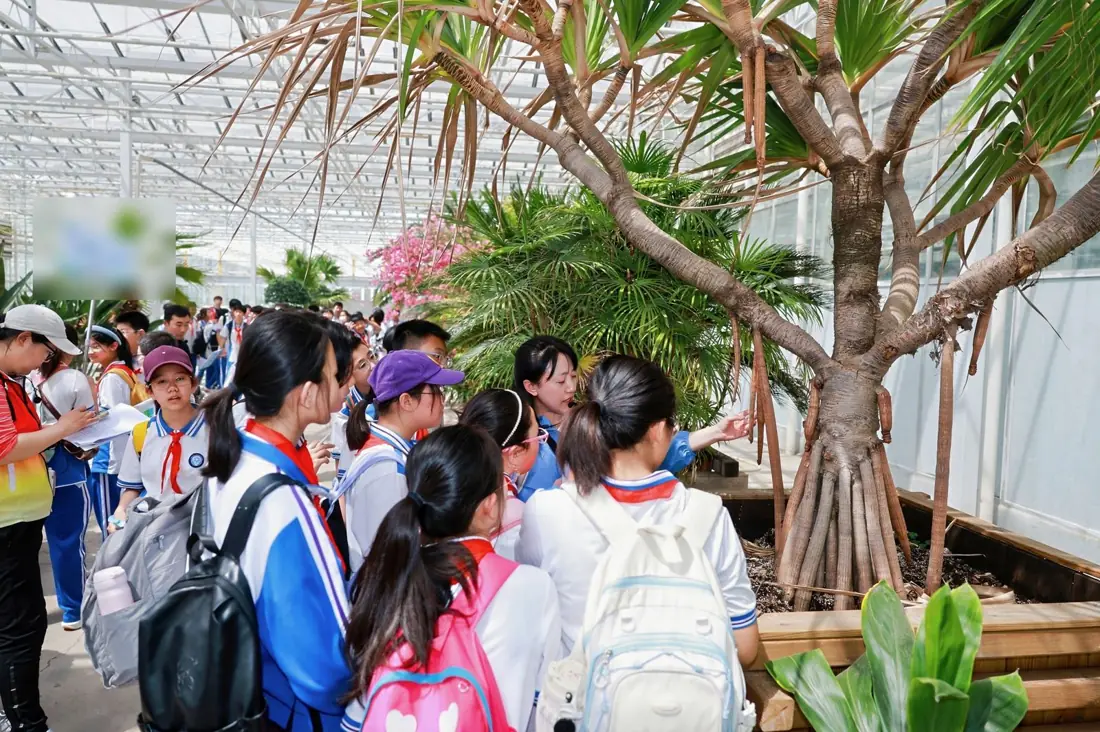 Actividad de un viaje de estudio